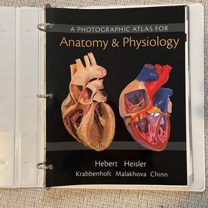 Anatomy and physiology, paperback book